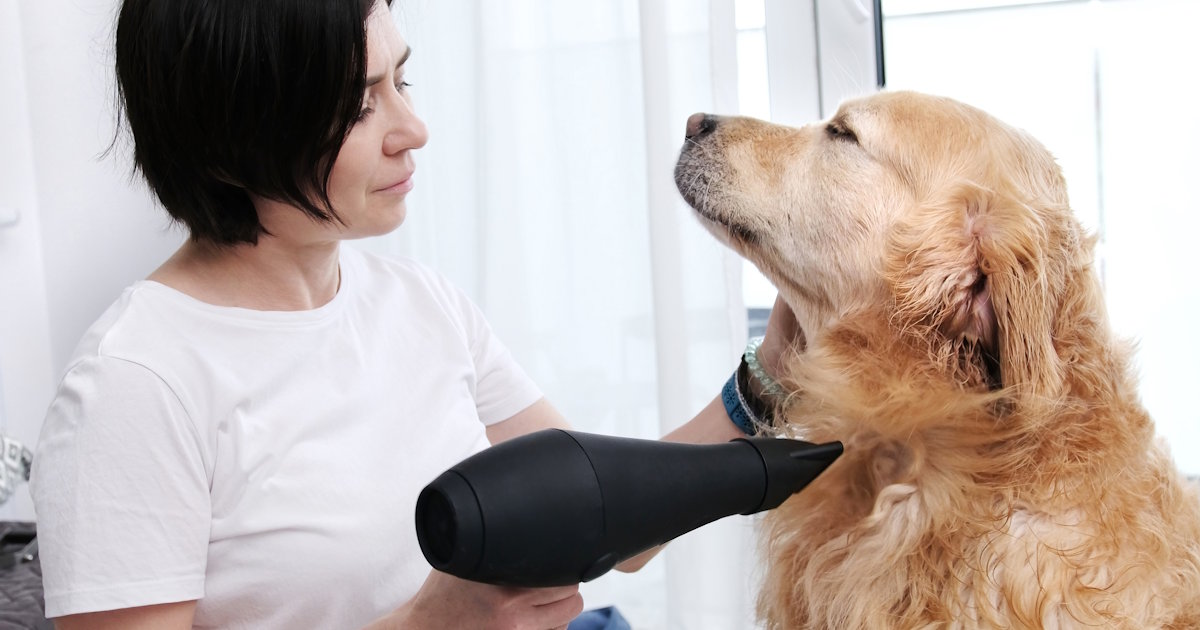 How to quickly eliminate bad behavior