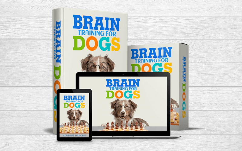 Brain Training For Dogs